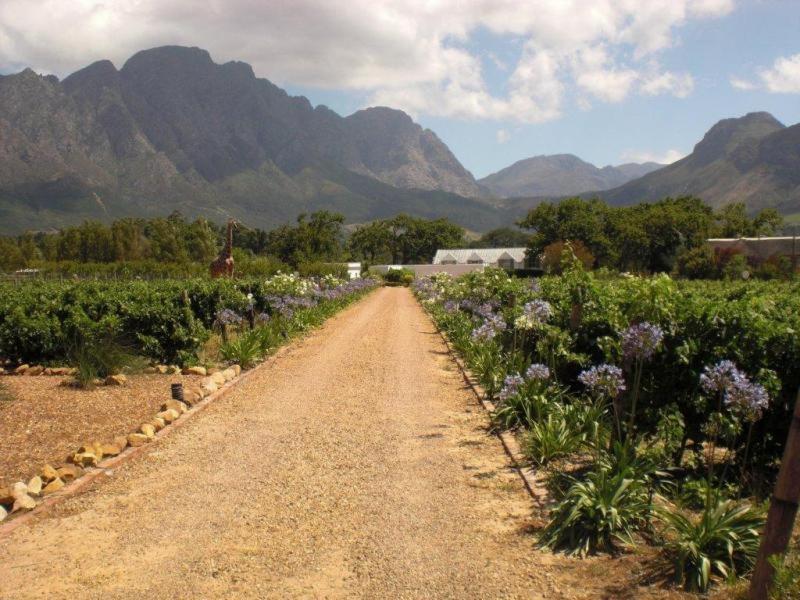 Auberge La Dauphine Guest House Franschhoek Eksteriør billede