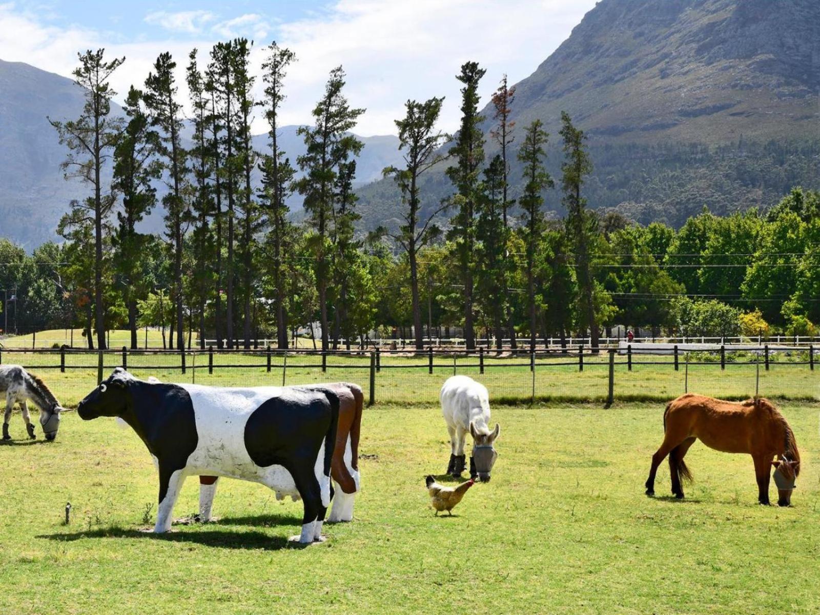 Auberge La Dauphine Guest House Franschhoek Eksteriør billede